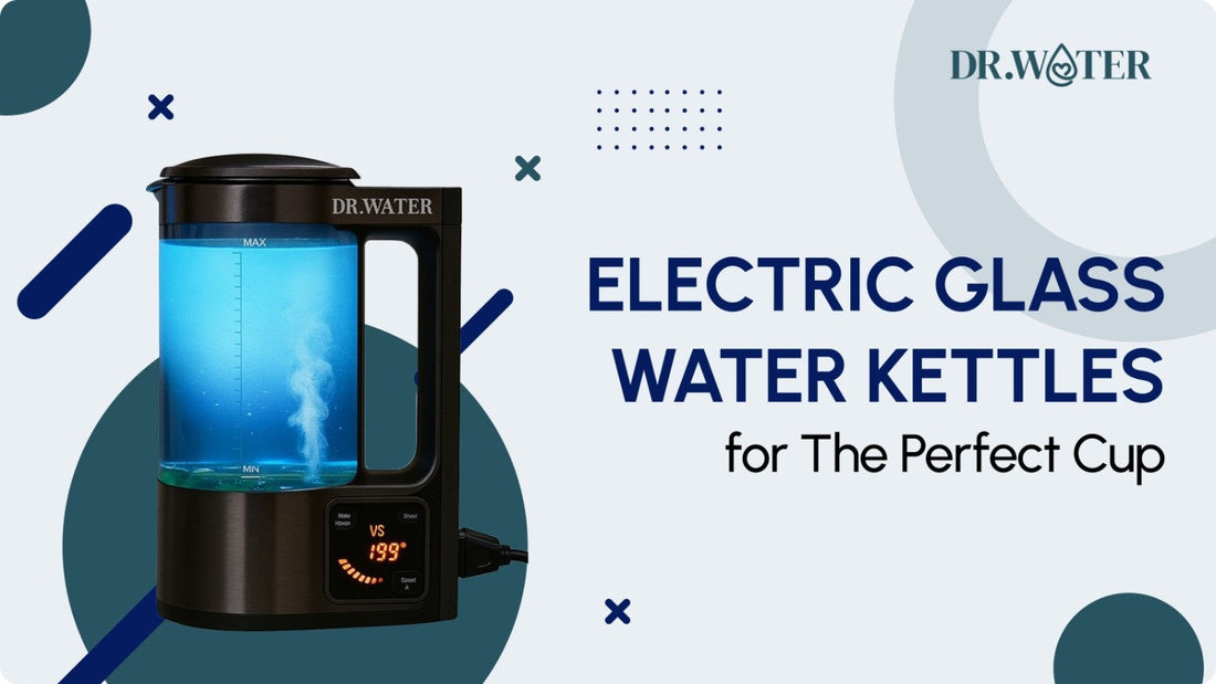 5 Best Electric Glass Water Kettles for The Perfect Cup