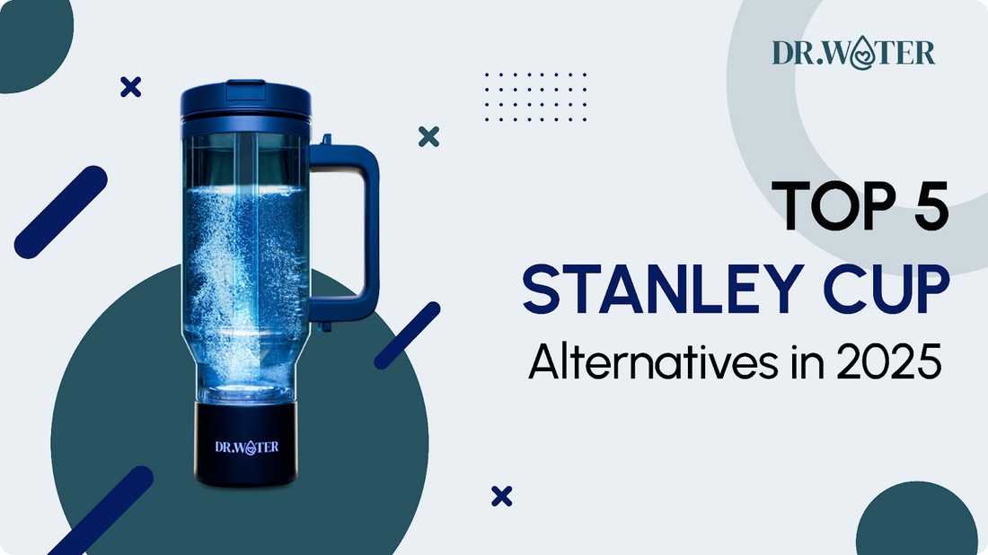 Top 5 Stanley Cup Alternatives in 2025