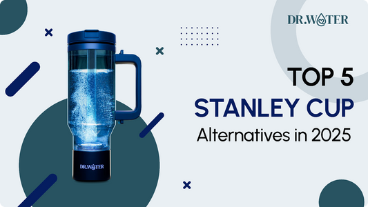 Top 5 Stanley Cup Alternatives in 2025