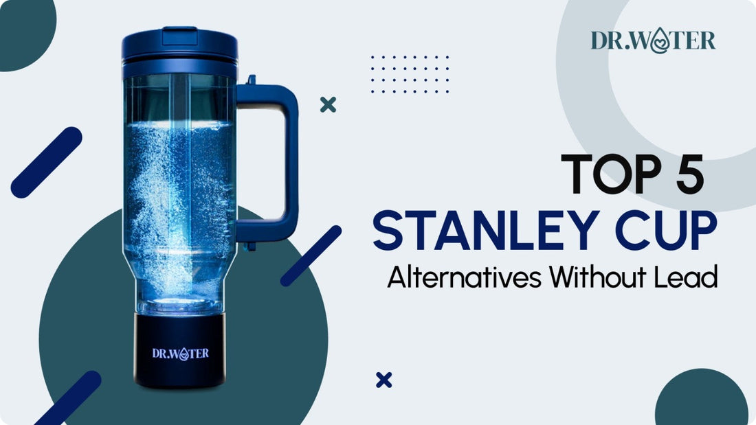 Top 5 Stanley Cup Alternatives Without Lead