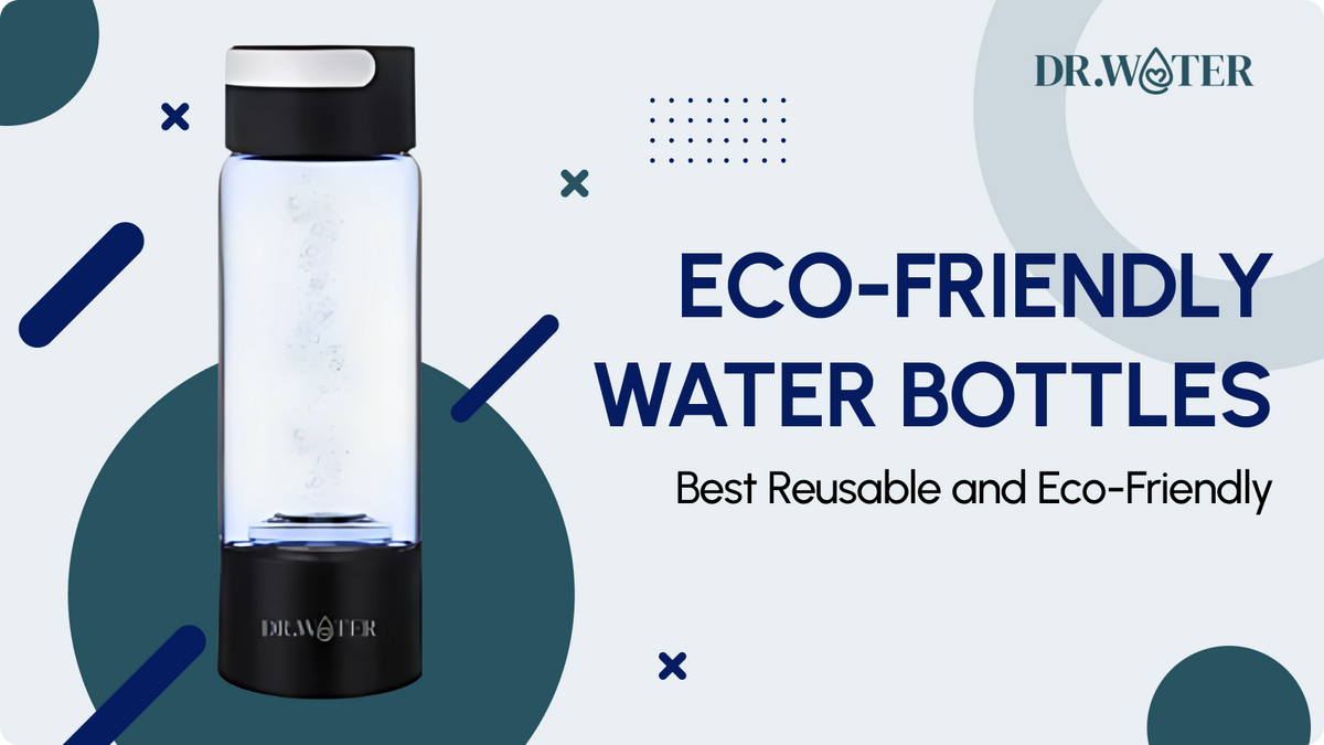 Best Reusable and Eco-Friendly Water Bottles