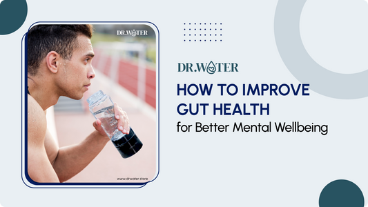 How to Improve Gut Health for Better Mental Wellbeing