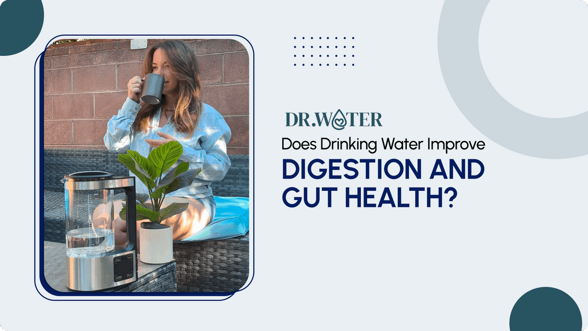 Does Drinking Water Improve Digestion and Gut Health?