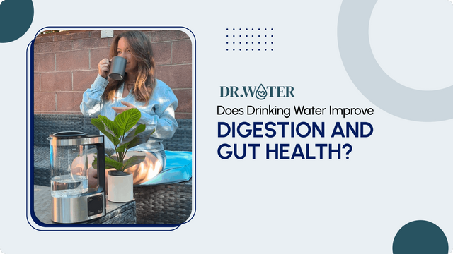 Does Drinking Water Improve Digestion and Gut Health? – Dr.Water